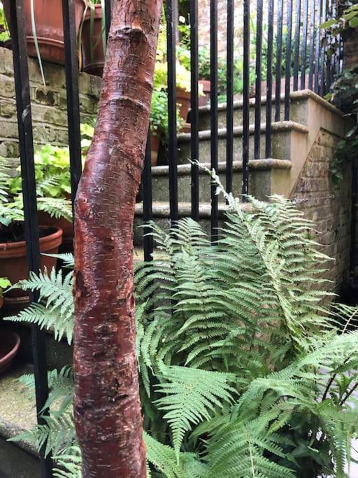 Kings Cross, Self-Contained House & Private Garden Villa Londen Buitenkant foto